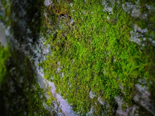 A49F1543-680E-4738-AB84-F25A434DB79E/L0/001