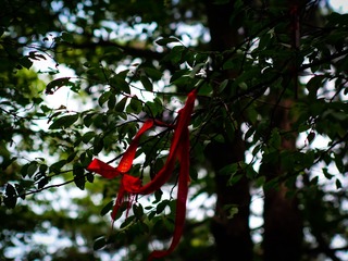 772B3211-CD1F-456C-AA39-57425CF18856/L0/001