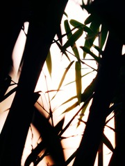 3E627844-8CCC-44AD-84E2-6FFCF78B98C2/L0/001