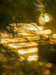 6688A947-922A-4F90-ACDE-28044B6AF40A/L0/001