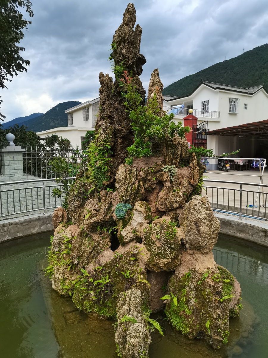 假山与多肉植物