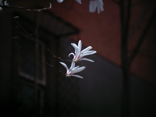 15038