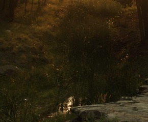 1000007776