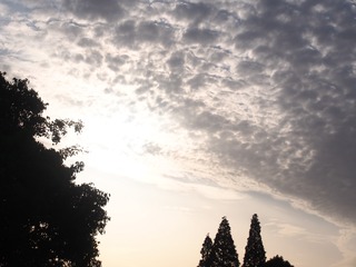 120614
