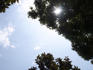 120770