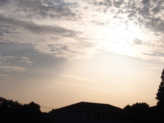 120619