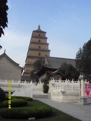 27B221C5-B473-4E71-AC4B-CF2E67416227/L0/001