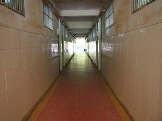 46318F01-0AC7-4D55-B4A5-00D9D9F4AEB0/L0/001