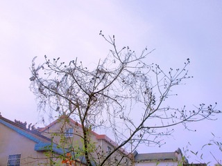 CBAE3F3C-DB37-4020-BD94-6FD9805E943D/L0/001