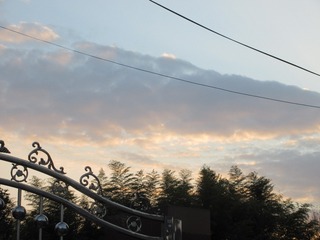 57ABE997-41BA-447E-879D-223DF9FF4545/L0/001