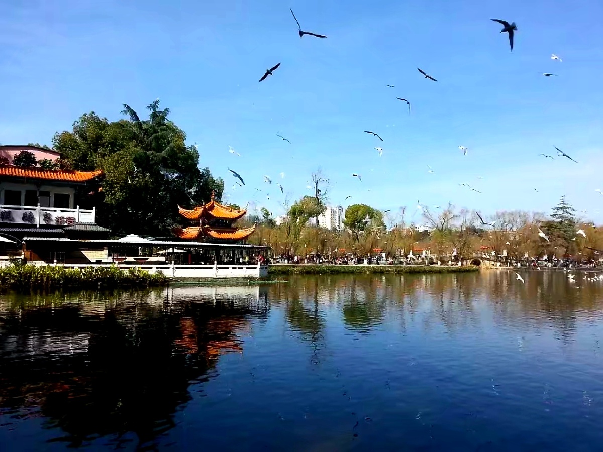 昆明翠湖公园一角
