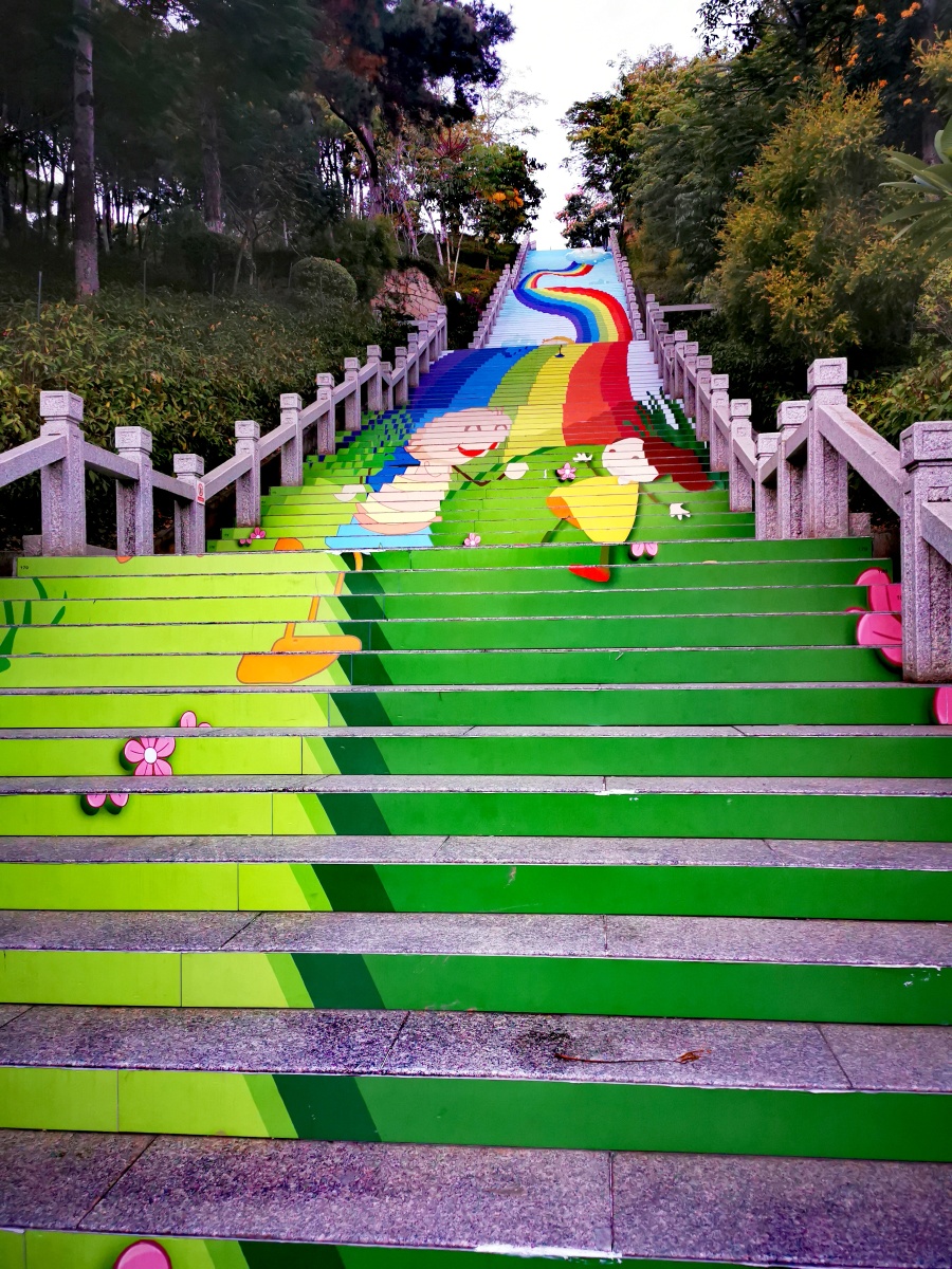 厦门薛岭公园"最美云梯"