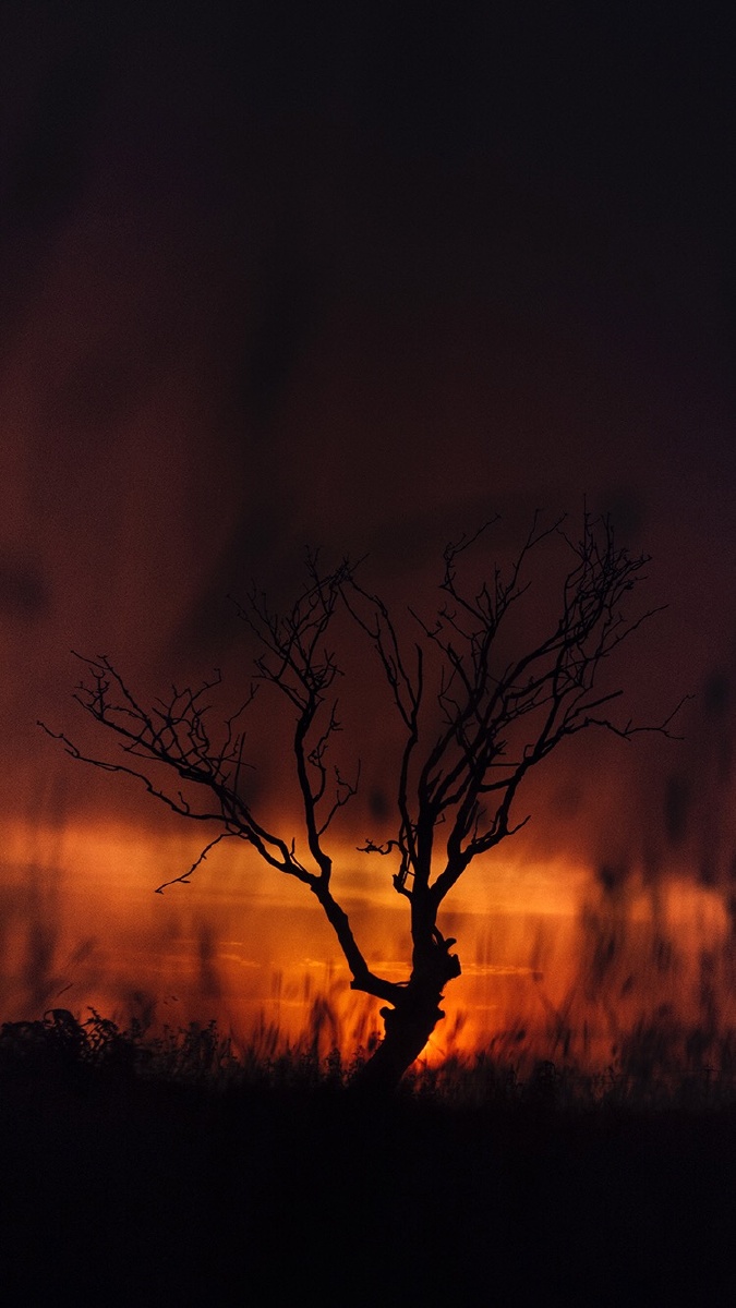 我向往自由可是逃不出这黑暗的日子自由只是梦想