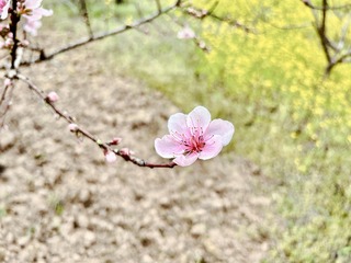 C4547C90-8189-4264-86B6-81A53EB84BF7/L0/001