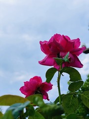 72A3803B-F92E-4070-96E0-FC60DBF51FA9/L0/001