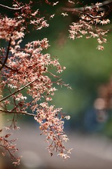 58C7FA89-6372-4F24-B144-B65D11DC46E1/L0/001