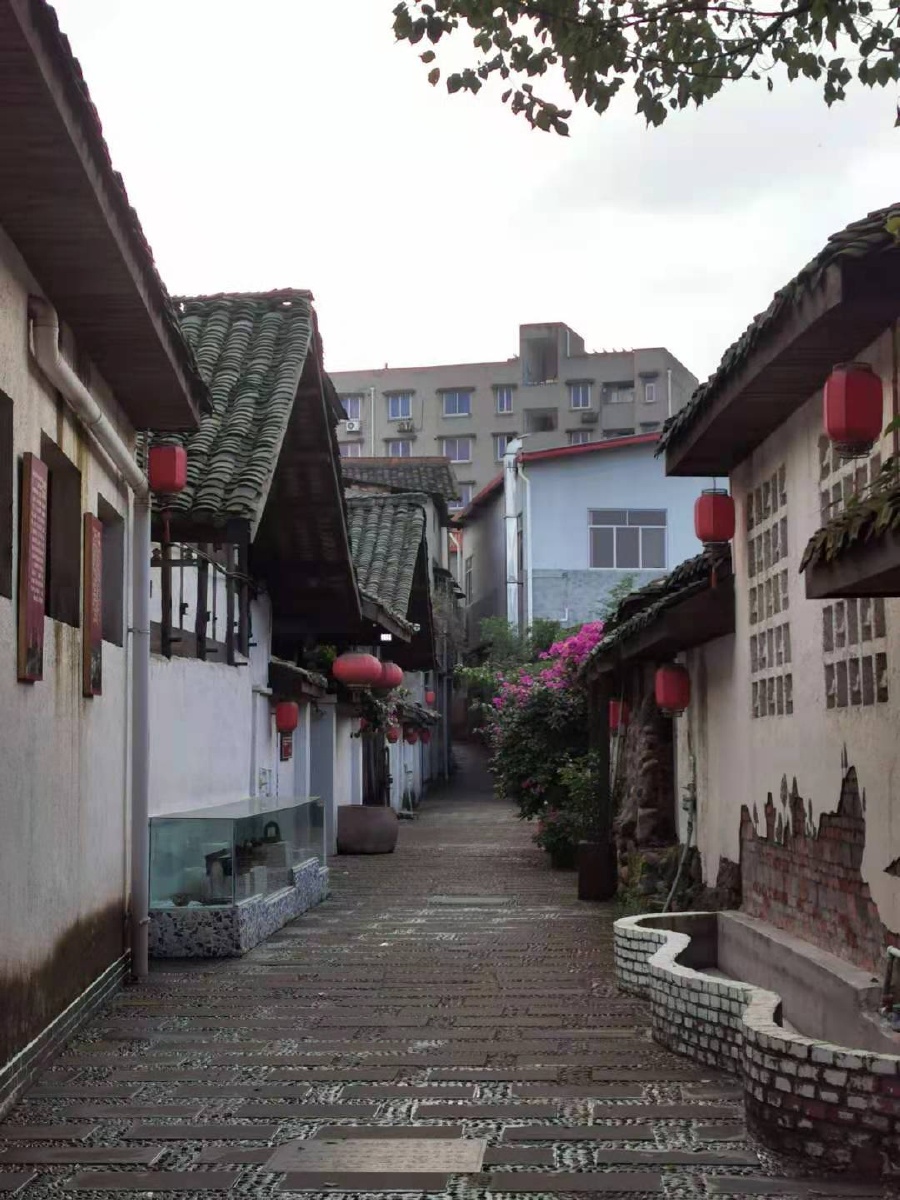 绵阳市丰谷小学校园以及丰谷镇萝卜丝巷美景