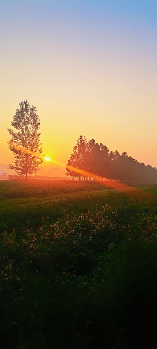 红日升红日升东方其大道满霞光