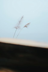 302A855F-F462-4675-B026-FAA1513C2317/L0/001