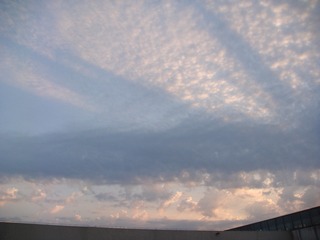 C16A704F-CCF3-4F01-B29B-706F7C18C723/L0/001