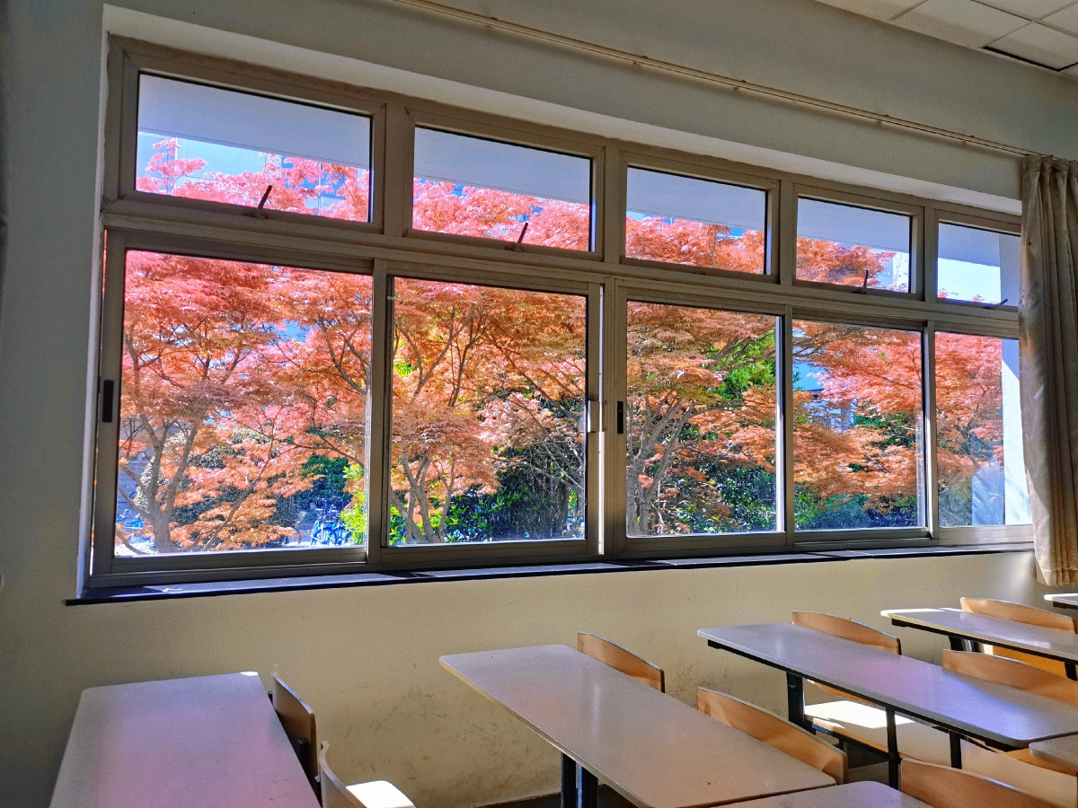 教室窗外风景贼美但上课打开投影仪一瞬间窗帘结束了一切嗯该上课了