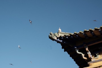 7B5D4591-9981-469F-9B8C-8DFB681D8E79/L0/001