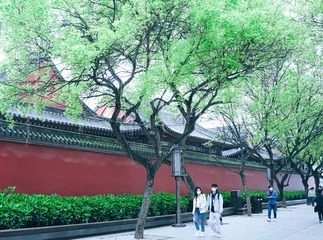 F7D2EF19-377F-4871-9A2E-79611743CC77/L0/001