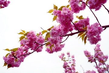 664B0C29-3D23-4959-9AC2-D8BA27667249/L0/001