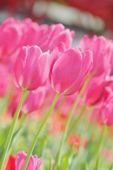 A78FD1DB-4A5D-425B-863B-7459FF538621/L0/001