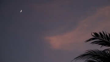 E897B08E-10FF-49D8-9574-EEE482A8D3B4/L0/001