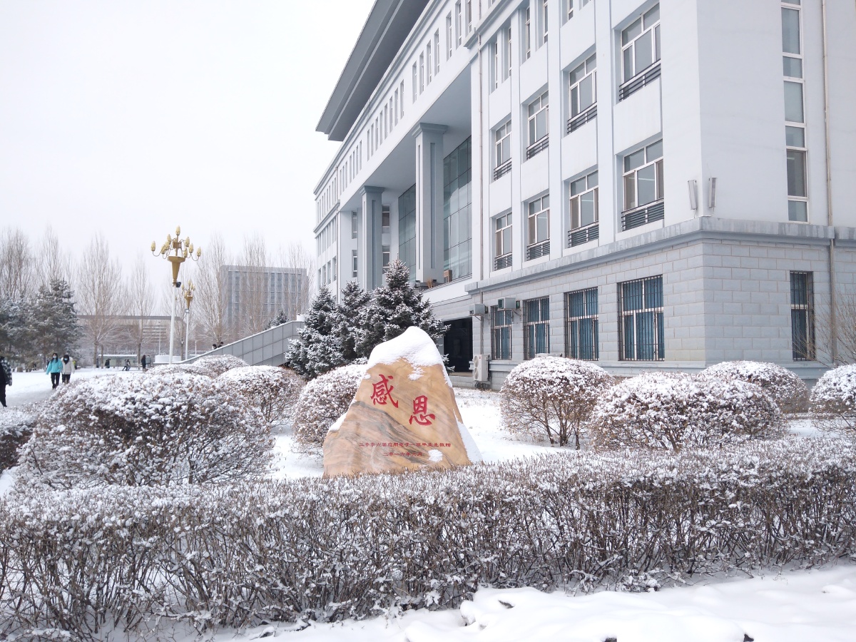 今日份校园冬景哈尔滨华德学院