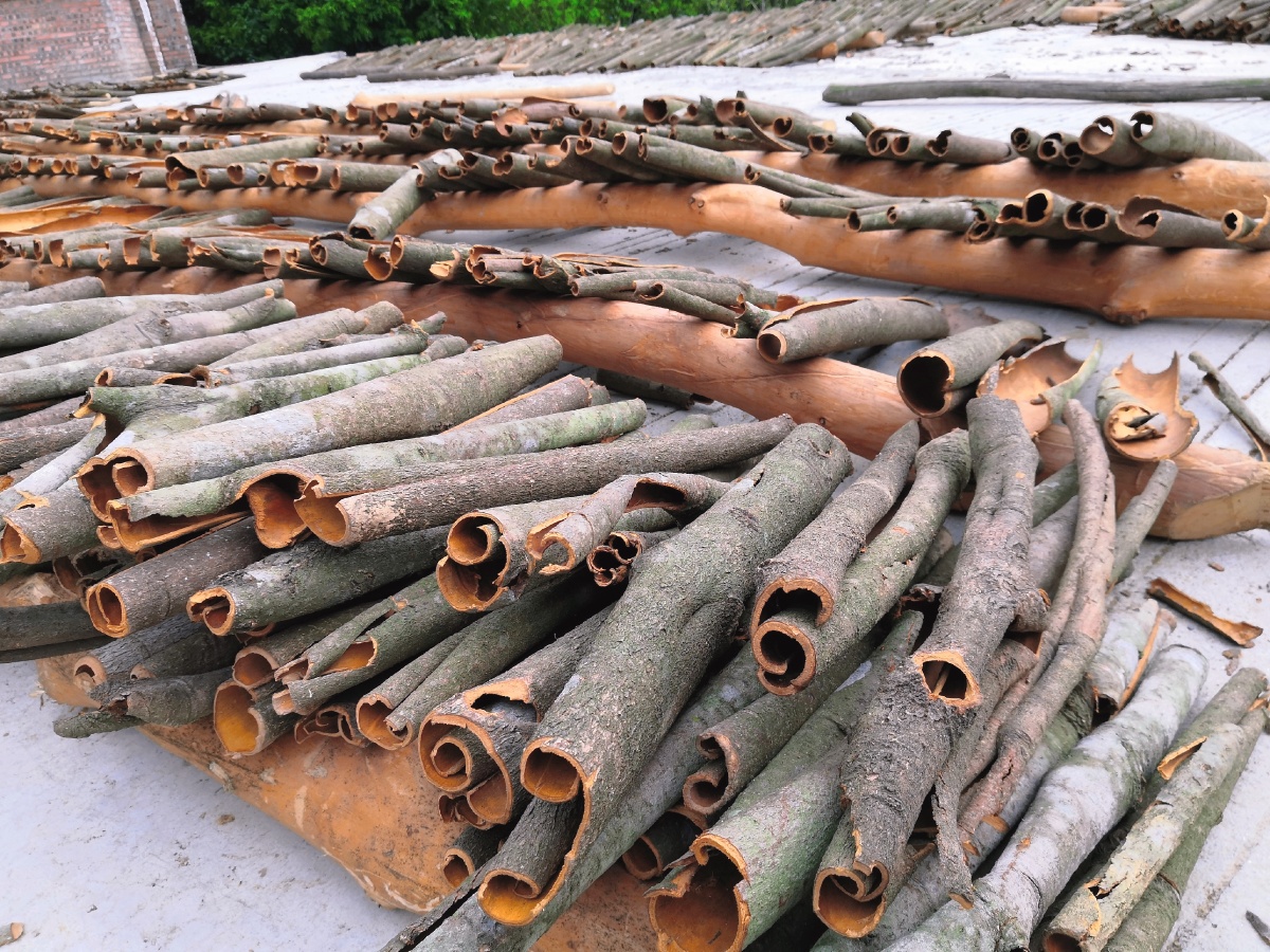 1/1卖图晒单分享行业木桂树树皮还没有人打赏,快来