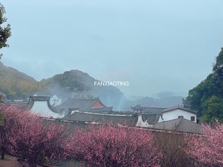 A5A9358A-6EB1-41EB-A0D7-F003436B995A/L0/001