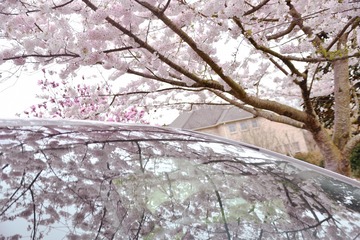 F4E06706-7333-4350-94E1-43ED29B50707