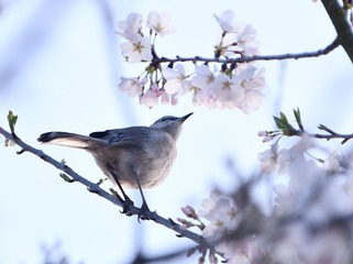 DSC_9171[1]