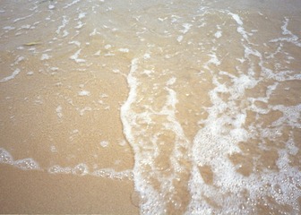 F427F735-FA95-4E49-BD6D-662C4FCA5E2C/L0/001