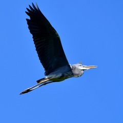 392118