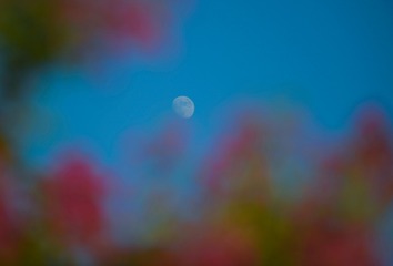 1390258