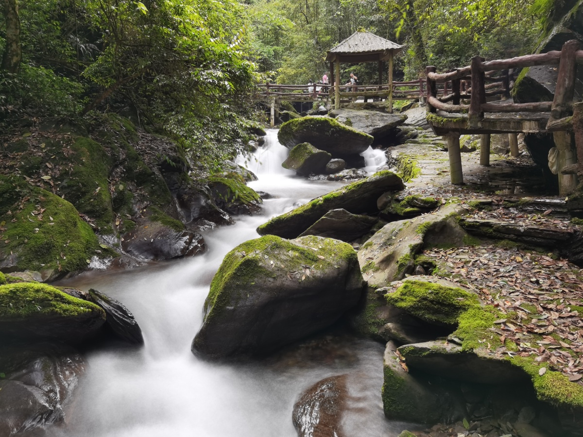 贵州江口亚木沟景区原始森林中的溪涧清澈灵动
