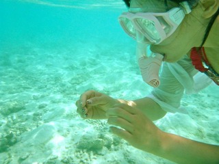 P1000297.JPG