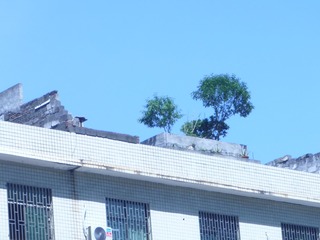 1288043