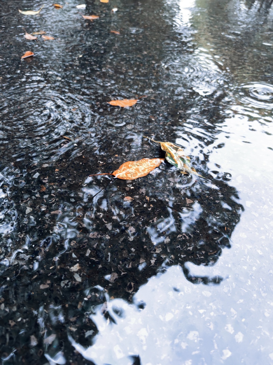 雨的痕迹雨天的校园独自一人走在路上小有发现