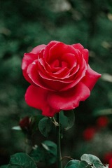 3E294EBF-830D-4C78-B9FD-F1D47D045207/L0/001