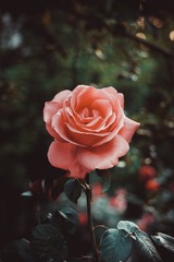 5E04FEE6-CC9B-4564-82EA-F9F87451A87D/L0/001