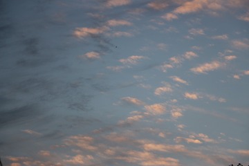 7EC62C04-D1B8-4009-B628-0CA342106997/L0/001