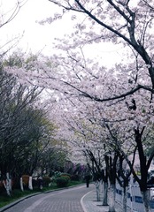 17087F48-F42F-4B4E-8F78-568B078024A6/L0/001