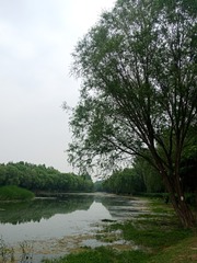 3065461