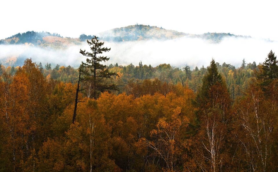 呼伦贝尔13<br />
金色的秋天，雾气缭绕在山间
