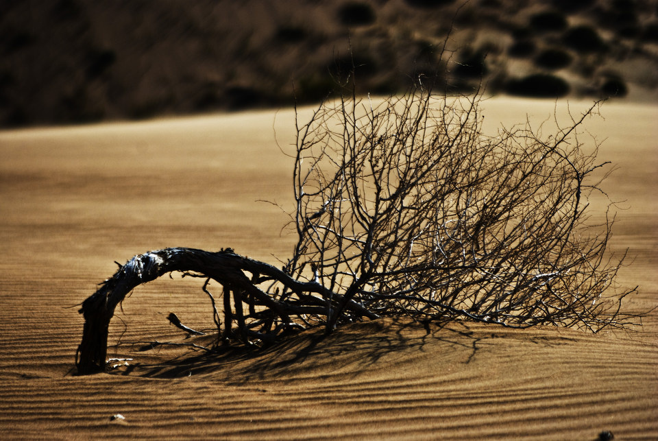 巴丹吉林沙漠片断