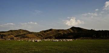 _DSC3534
